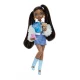Papusa Barbie Brooklyn Barbie Dream Besties