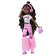 Papusa Barbie Dream Besties Brooklyn - Petrecere pe role Papusa Barbie Dream Besties Brooklyn - Petrecere pe role