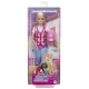 Papusa Barbie Mysteries Papusa Barbie Mysteries