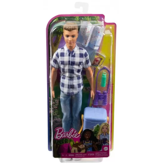 Papusa Barbie Ken la picnic Papusa Barbie Ken la picnic