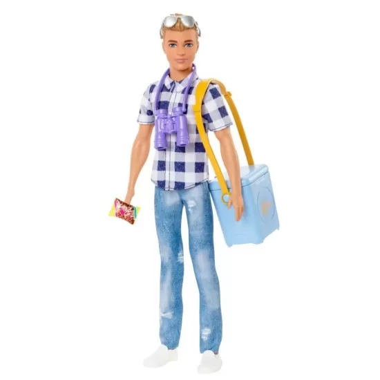 Papusa Barbie Ken la picnic Papusa Barbie Ken la picnic