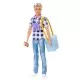 Papusa Barbie Ken la picnic Papusa Barbie Ken la picnic