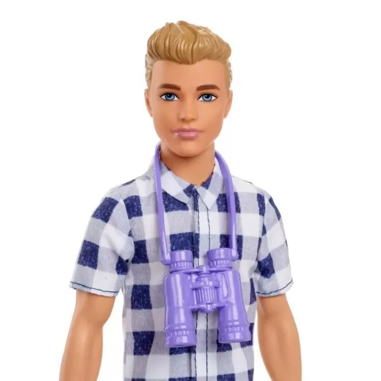 Papusa Barbie Ken la picnic Papusa Barbie Ken la picnic