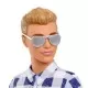 Papusa Barbie Ken la picnic Papusa Barbie Ken la picnic