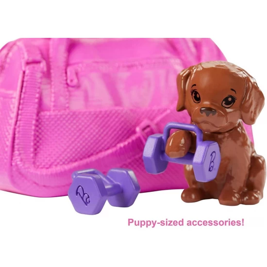 Set de joaca Barbie cu accesorii wellness la sala de sport