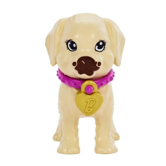 Set de joaca cu papusa Barbie Pup Adoption Set de joaca cu papusa Barbie Pup Adoption