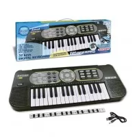 Orga electronica Bontempi 32 clape