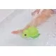 Broscuta testoasa la baita 11 cm Broscuta testoasa la baita 11 cm