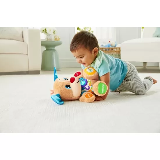 Catelusul Vorbitor in limba romana Fisher Price Catelusul Vorbitor in limba romana Fisher Price