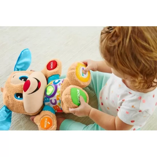 Catelusul Vorbitor in limba romana Fisher Price Catelusul Vorbitor in limba romana Fisher Price