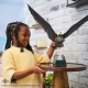 Dragon Toothless zburator cu telecomanda How to Train Your Dragon Dragon Toothless zburator cu telecomanda How to Train Your Dragon