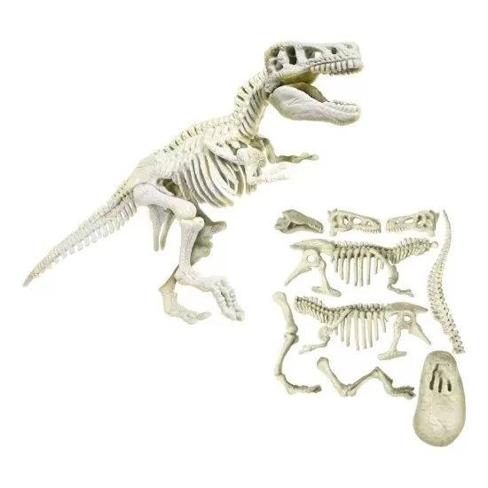 Set educativ - Descopera dinozaurul T-Rex