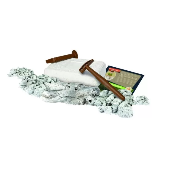 Set educativ - Descopera dinozaurul T-Rex