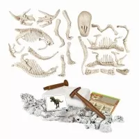 Set educativ Stiinta si joaca Clementoni - Descopera Dinozaurul T-Rex & Triceraptor Fluorescent