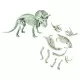 Set educativ - Descopera dinozaurul Triceratops