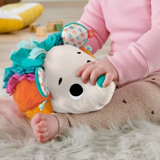 Arici cu activitati senzoriale Fisher-Price Arici cu activitati senzoriale Fisher-Price