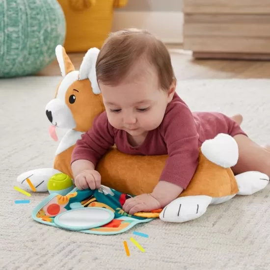 Catelus 3 in 1 Tummy Wedge Fisher-Price Catelus 3 in 1 Tummy Wedge Fisher-Price