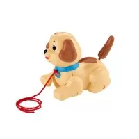 Catelus adorabil Fisher-Price