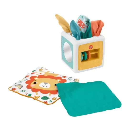 Cub cu activitati Fisher-Price Cub cu activitati Fisher-Price