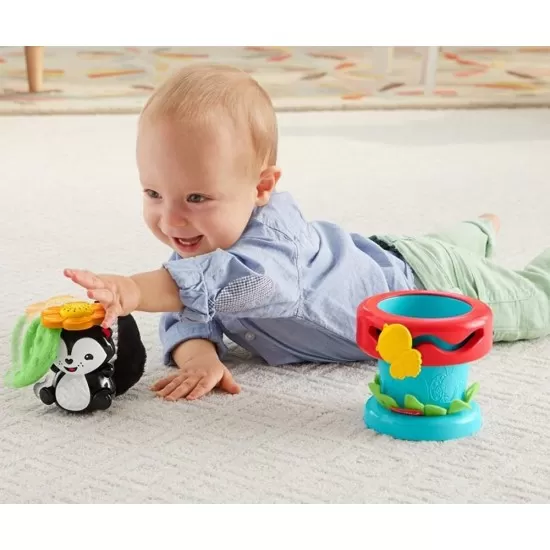 Ghiveciul de flori Alege si te joaca Fisher Price Ghiveciul de flori Alege si te joaca Fisher Price