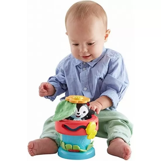 Ghiveciul de flori Alege si te joaca Fisher Price Ghiveciul de flori Alege si te joaca Fisher Price