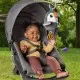 Jucarie Tucan de plus Fisher-Price Jucarie Tucan de plus Fisher-Price