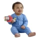 Jucarie plus zornaitoare floare si albinuta Fisher-Price Planet Friends Jucarie plus zornaitoare floare si albinuta Fisher-Price Planet Friends