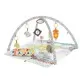 Saltea cu activitati si accesorii Newborn Perfect Sense Deluxe Gym Fisher-Price