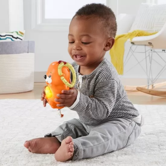 Saltea cu activitati si accesorii Newborn Perfect Sense Deluxe Gym Fisher-Price