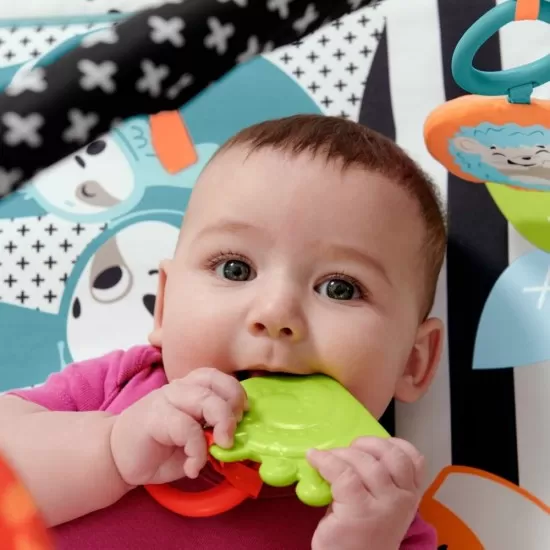 Saltea muzicala 3 in 1 cu centru de activitati Fisher-Price Saltea muzicala 3 in 1 cu centru de activitati Fisher-Price