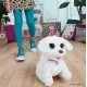 Jucarie interactiva FurReal Gogo catelusul dansator Jucarie interactiva FurReal Gogo catelusul dansator