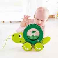 Broscuta plimbareata Tito Hape