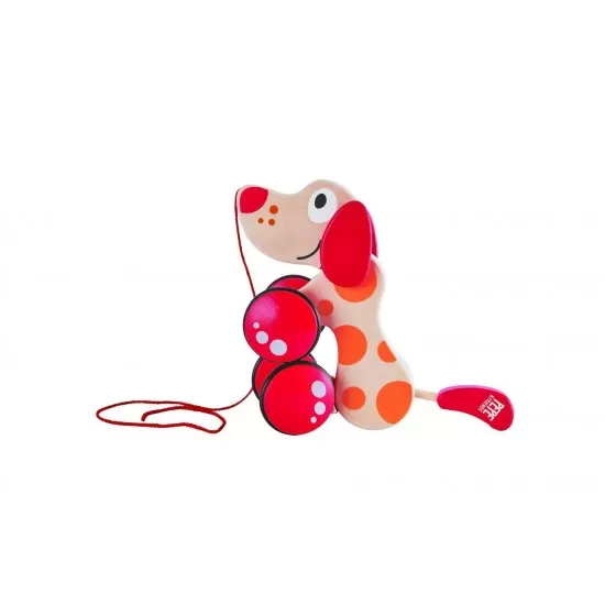 Catelus de plimbat Pepe Hape