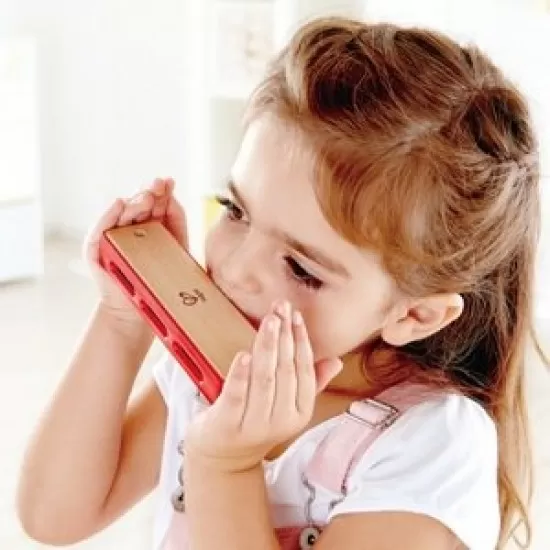Muzicuta din lemn Hape Muzicuta din lemn Hape
