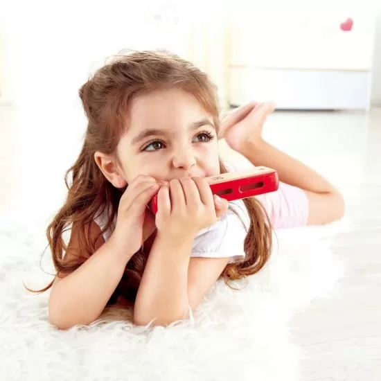 Muzicuta din lemn Hape Muzicuta din lemn Hape