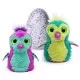 Jucarie interactiva Hatchimals Oul Turcoaz Jucarie interactiva Hatchimals Oul Turcoaz