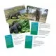 Joc interactiv BBC Earth Animals