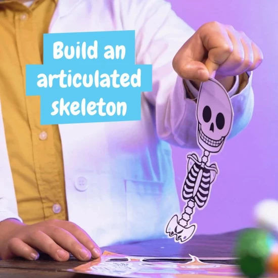 Joc educativ, Descopera corpul uman, +4 ani