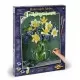Kit pictura pe numere Schipper - Buchet cu flori de primavara Kit pictura pe numere Schipper - Buchet cu flori de primavara
