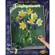 Kit pictura pe numere Schipper - Buchet cu flori de primavara Kit pictura pe numere Schipper - Buchet cu flori de primavara