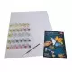 Kit pictura pe numere Schipper - Catedrala Notre Dames
