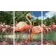 Kit 3 tablouri pictura pe numere Schipper Flamingo Kit 3 tablouri pictura pe numere Schipper Flamingo