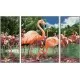 Kit 3 tablouri pictura pe numere Schipper Flamingo Kit 3 tablouri pictura pe numere Schipper Flamingo