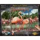 Kit 3 tablouri pictura pe numere Schipper Flamingo Kit 3 tablouri pictura pe numere Schipper Flamingo