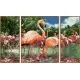 Kit 3 tablouri pictura pe numere Schipper Flamingo Kit 3 tablouri pictura pe numere Schipper Flamingo