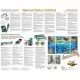 Kit 3 tablouri pictura pe numere Schipper - Viata marina Kit 3 tablouri pictura pe numere Schipper - Viata marina