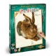 Kit pictura pe numere Schipper - Young Hare de Albrecht Durer
