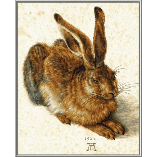 Kit pictura pe numere Schipper - Young Hare de Albrecht Durer