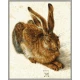 Kit pictura pe numere Schipper - Young Hare de Albrecht Durer
