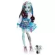 Papusa Monster High Frankie Stein cu animalut si accesorii Papusa Monster High Frankie Stein cu animalut si accesorii